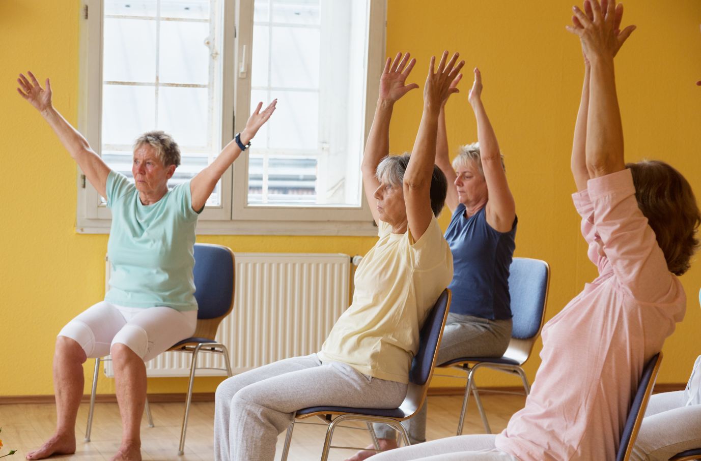 chair yoga workshops April to June 2026